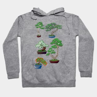 Bonsai in Gouache Hoodie